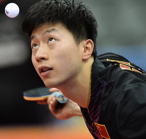 场全胜的战 场全胜的战